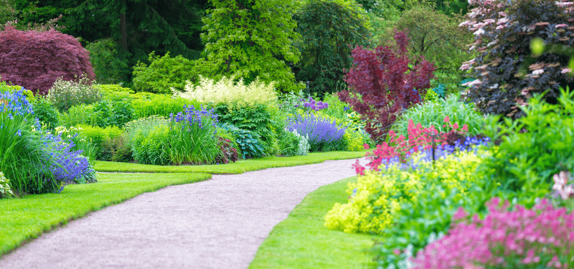 Beautiful garden in summer landscaped by Louisville Landscape Pros