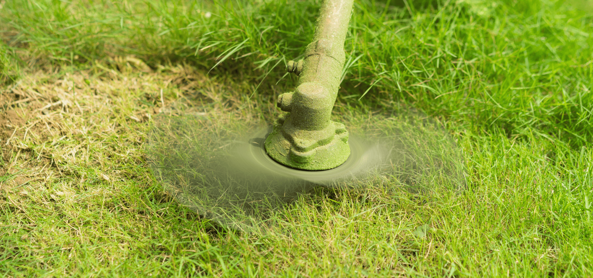 String trimmer being used to cut overgrown grass