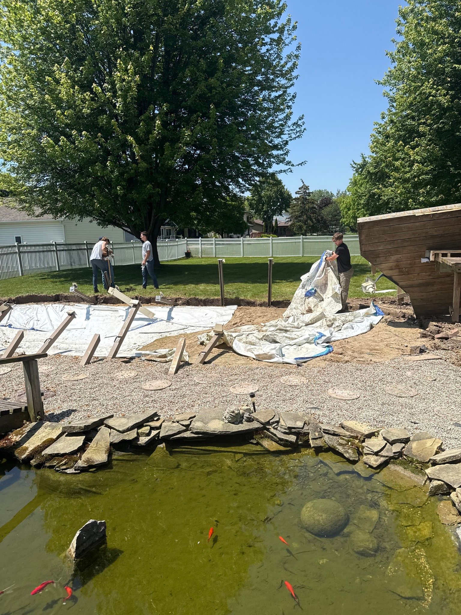 People working on a backyard project near a pond with fish. Blue sky, green trees, and white fence.