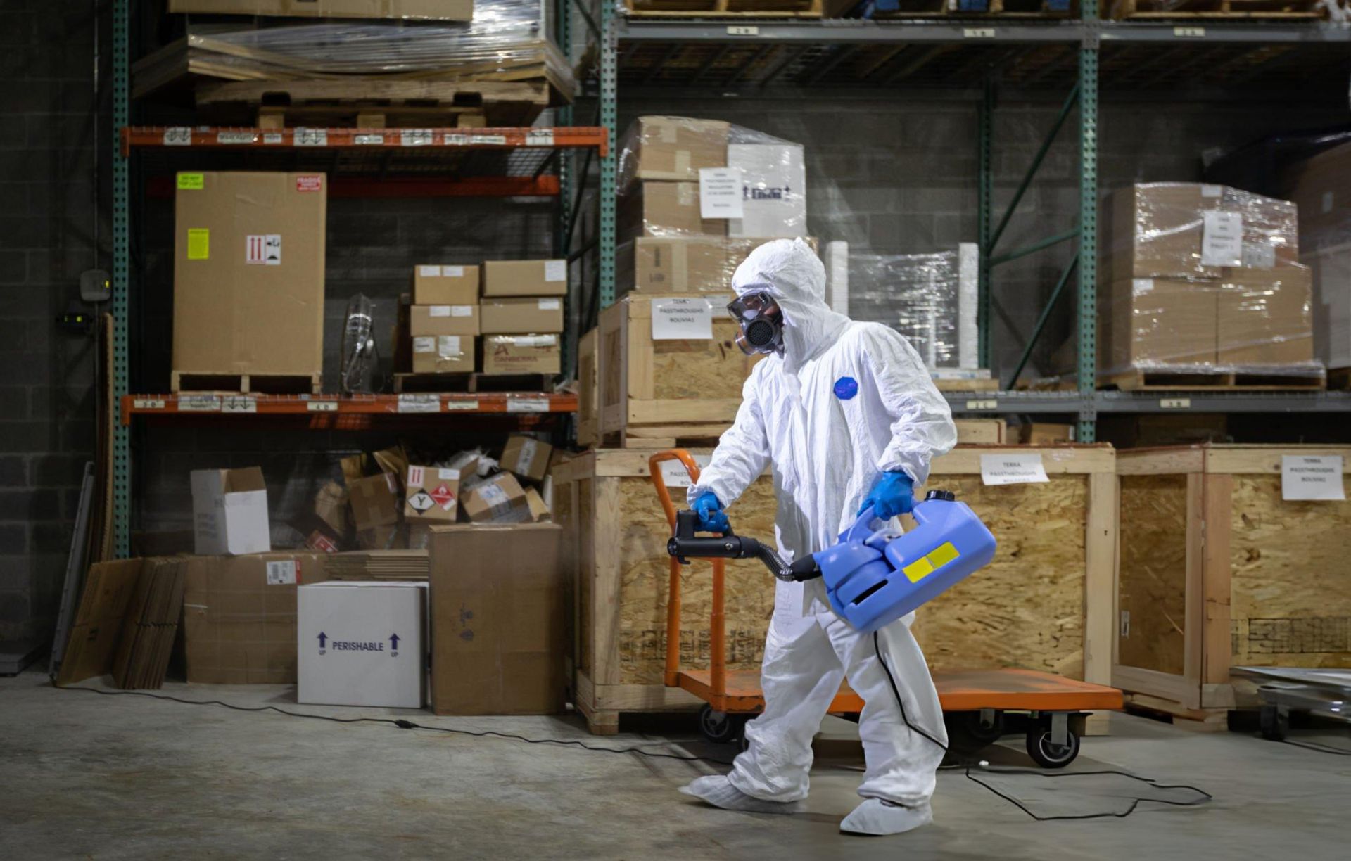 Service 4D complet pour hygiène et protection contre nuisibles et risques sanitaires