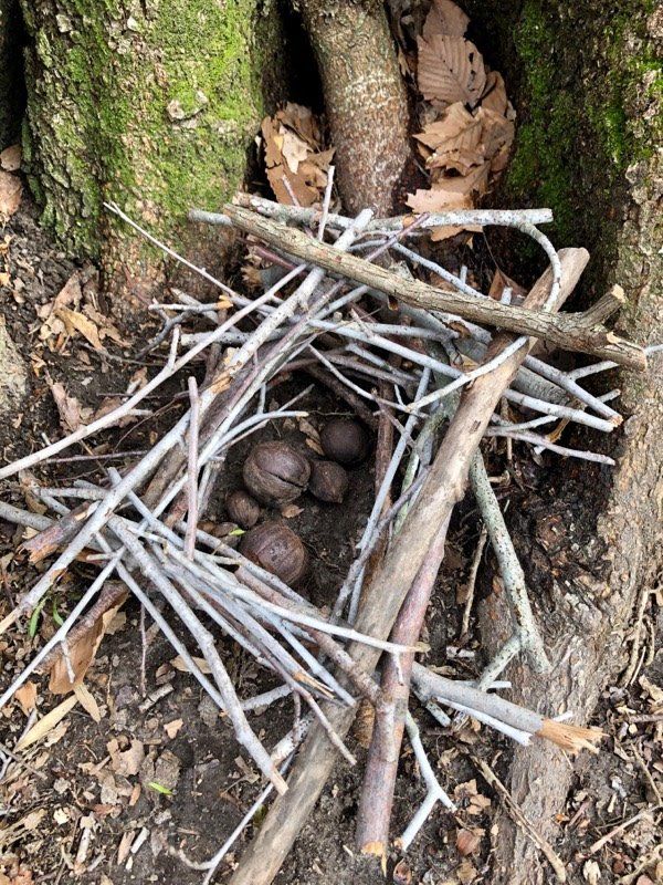 Wood Stick – West River, MD – River’s Edge Forest Play