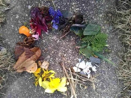 Flowers And Leaves – West River, MD – River’s Edge Forest Play