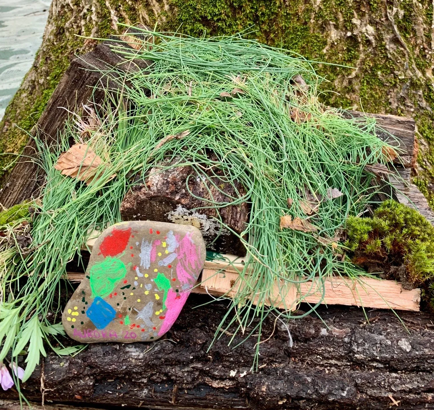 Trash grass – West River, MD – River’s Edge Forest Play
