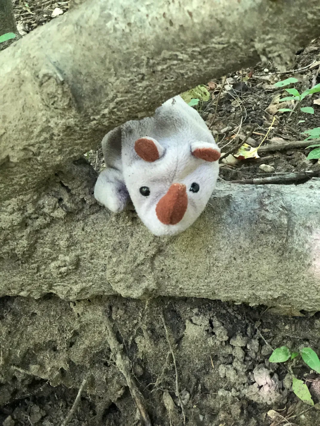 Animal Toys – West River, MD – River’s Edge Forest Play