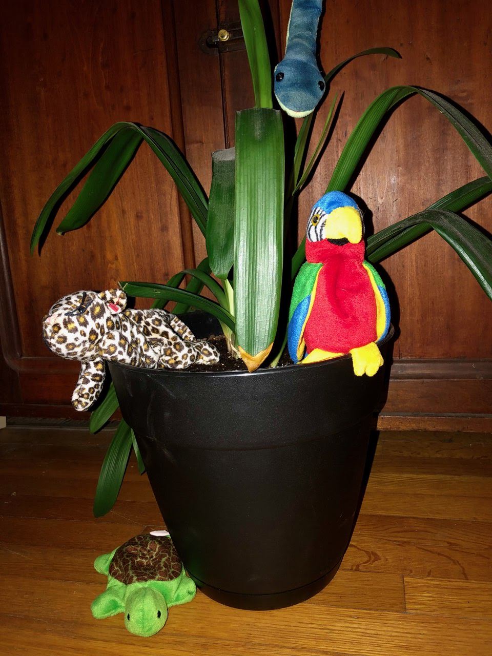 Plant Pot – West River, MD – River’s Edge Forest Play