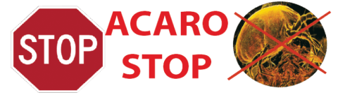 logo stop acaro