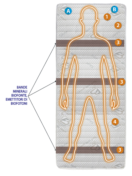 infografica interno mineral biofonte