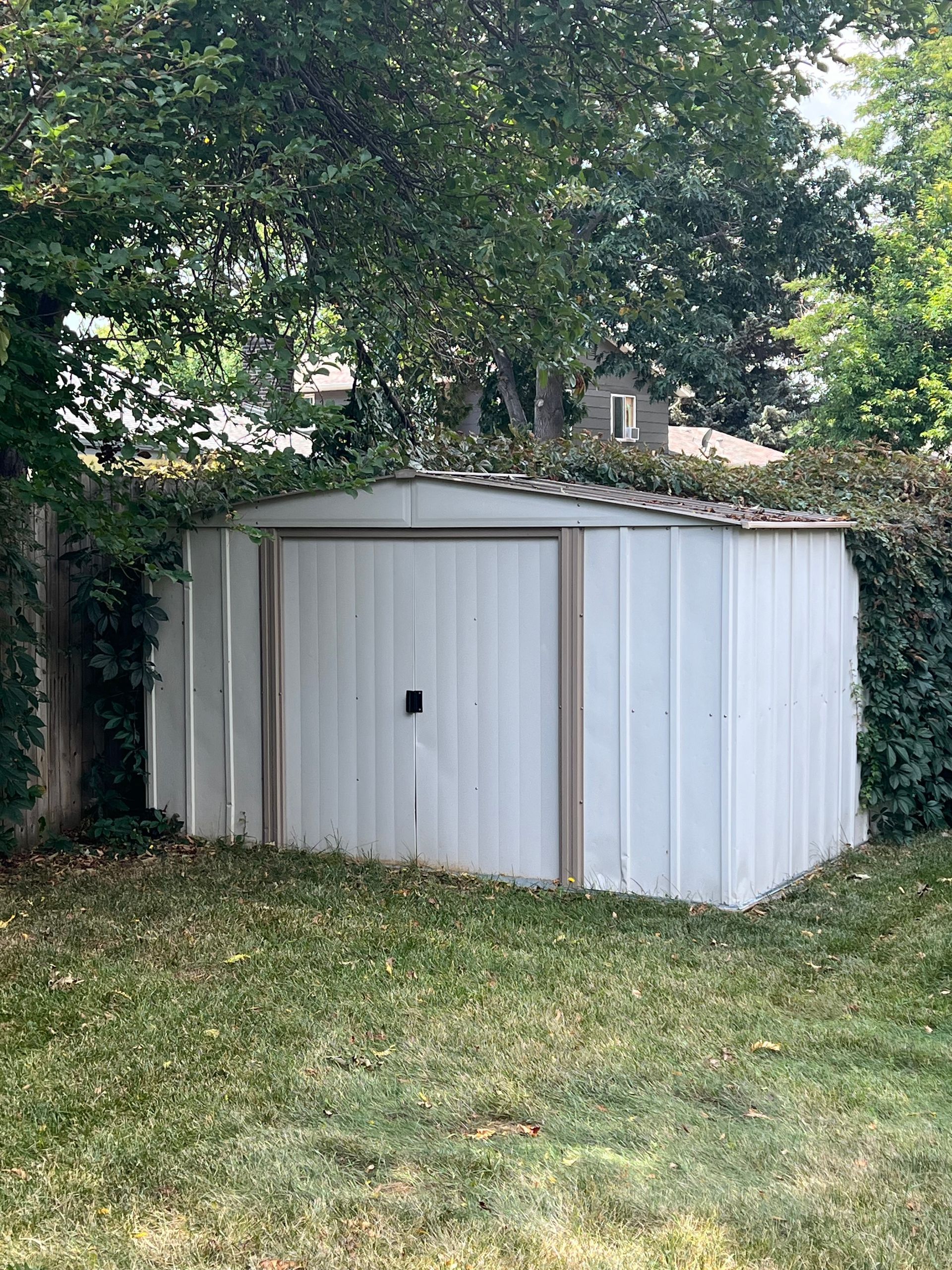 White metal shed partially covered by trees and ivy in Arvada, CO.