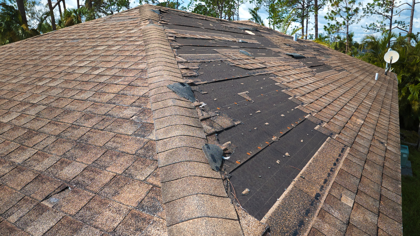Damaged shingle roof with a large black tarp patch on a house under trees