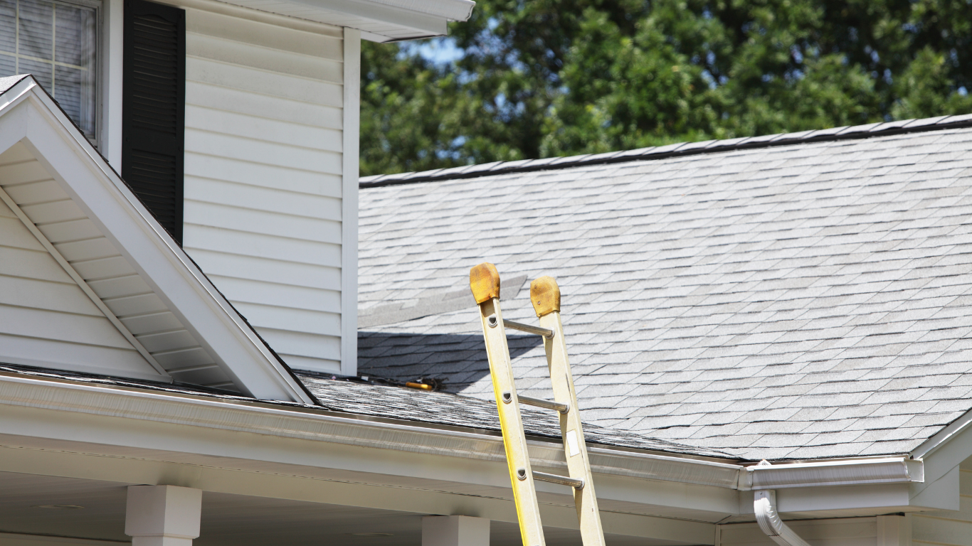 Yellow ladder leaning against a house roof beside white siding and gray shingles.