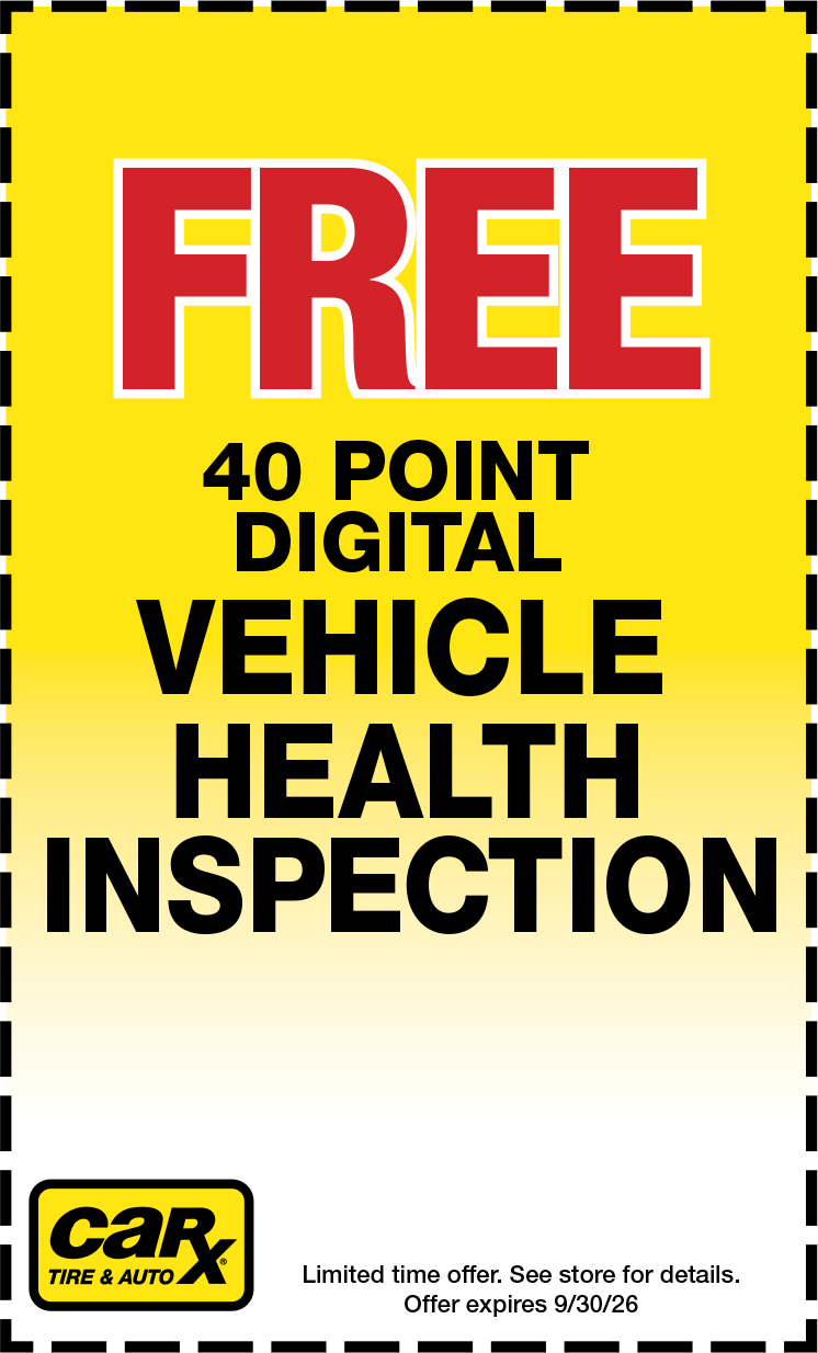Vehicle health Inspection