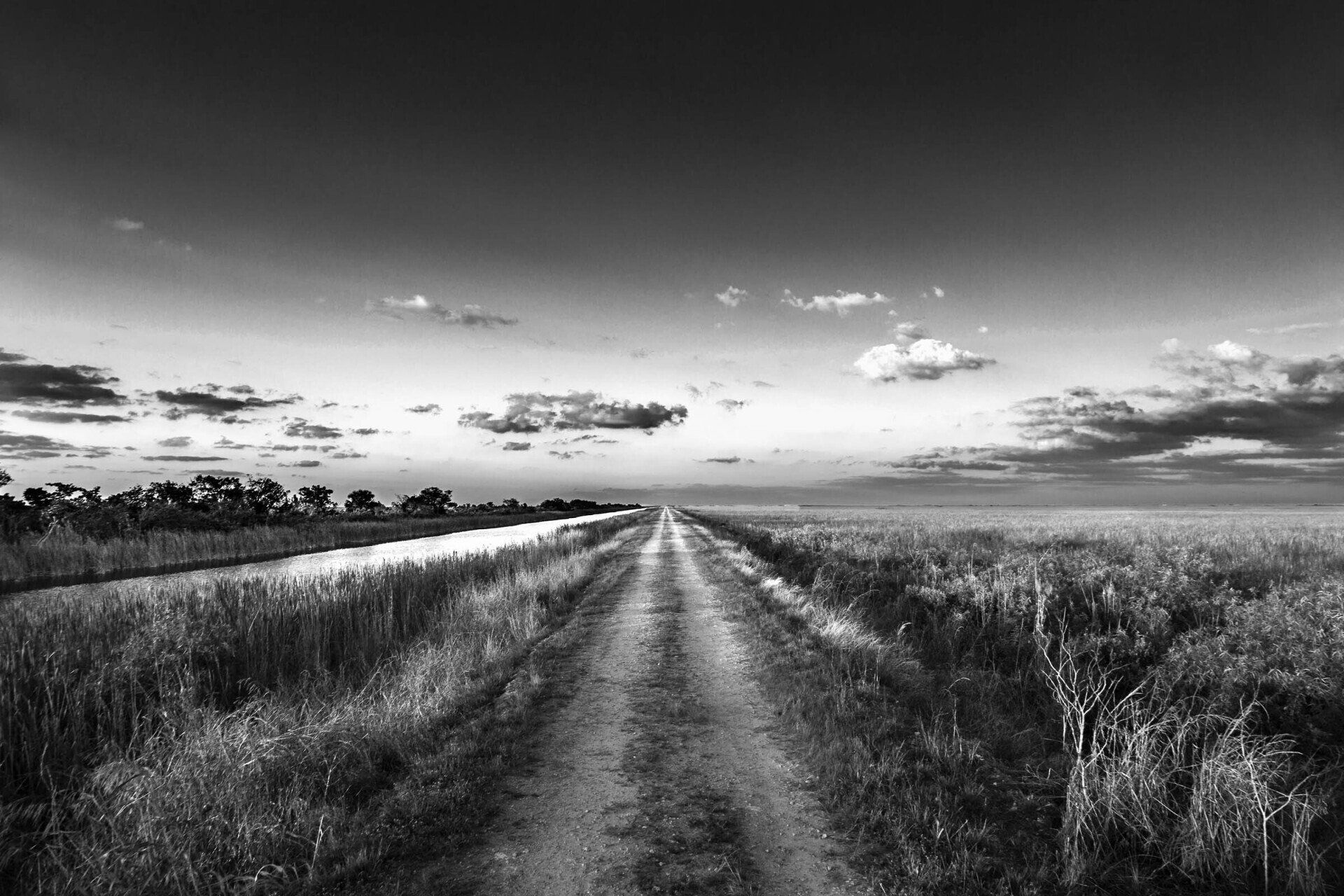 Road through the Everglades grasslands in Florida