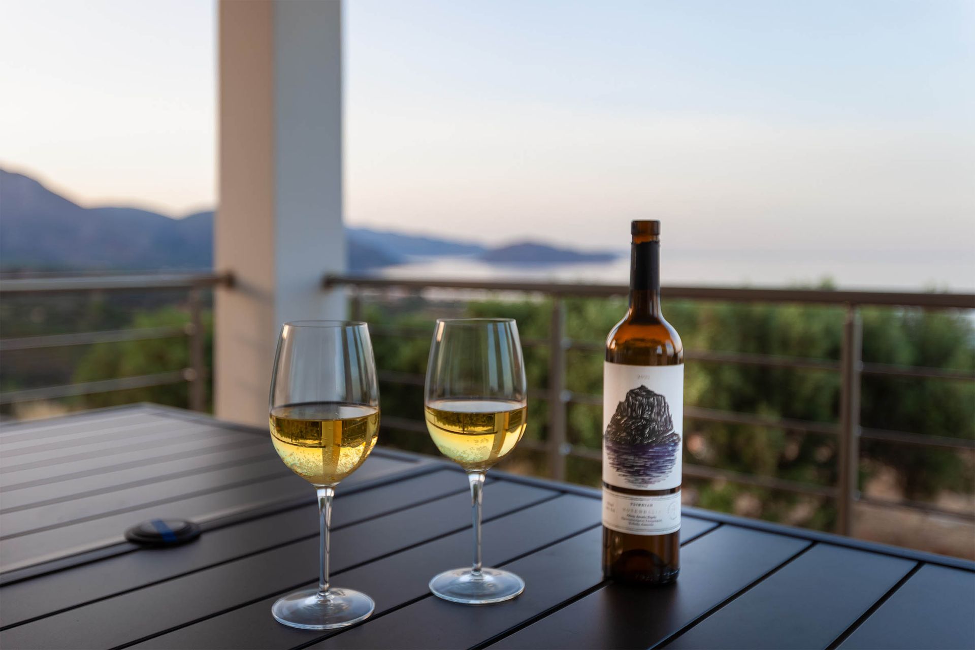 Wine bottle and two glasses on a terrace