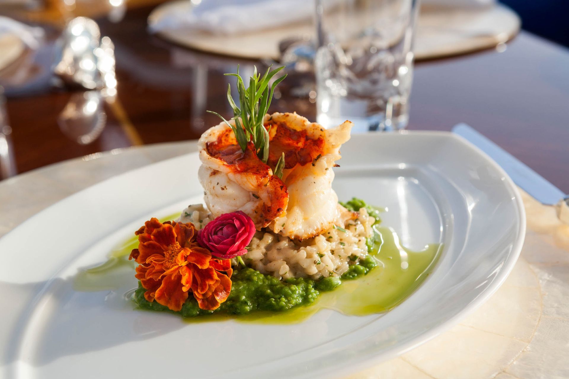 Plated dish prepared for hospitality service
