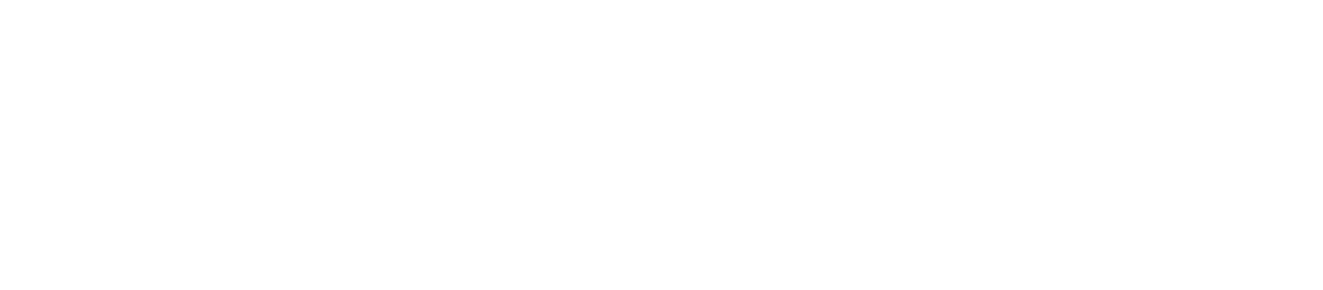 Blank white horizontal bar with thin black border