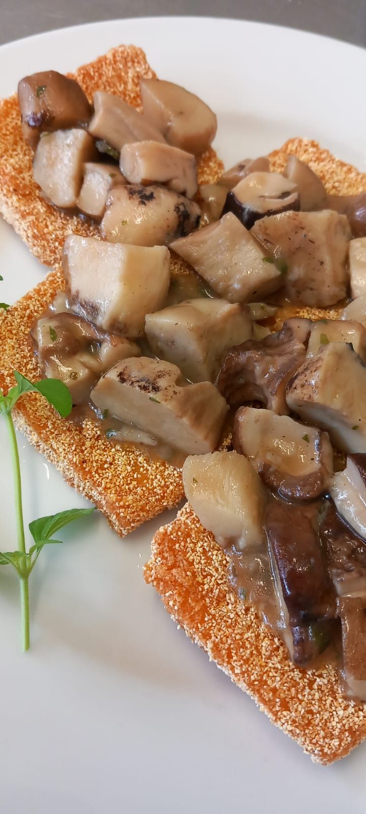 funghi