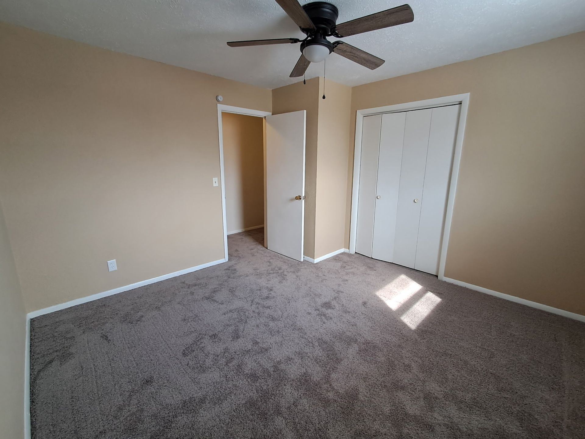Empty beige bedroom with carpet, ceiling fan, open door, and sunlight on the floor
