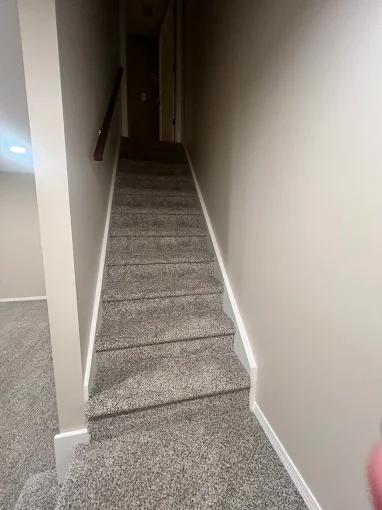 Narrow carpeted staircase in a dim hallway with beige walls and a handrail on the left.
