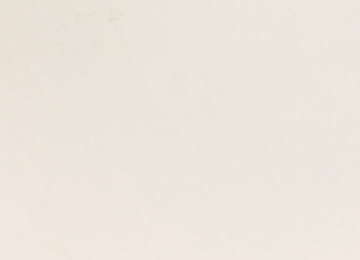 RAL 9010 