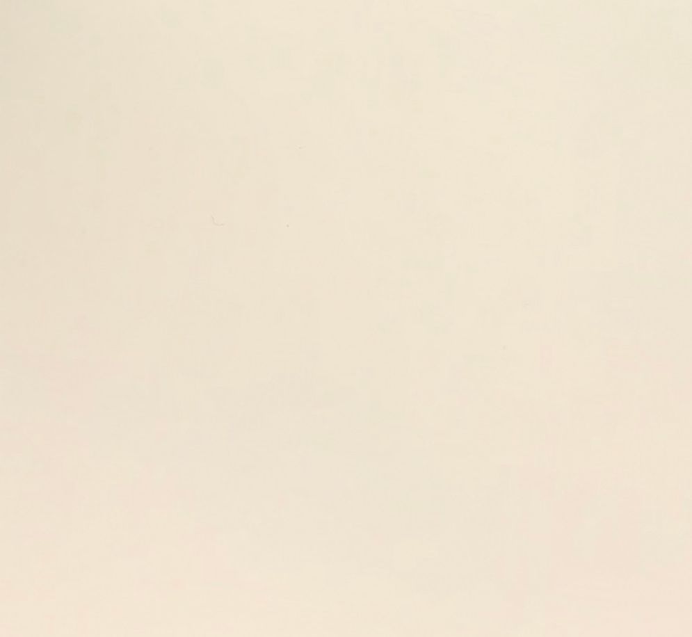 RAL 1013 