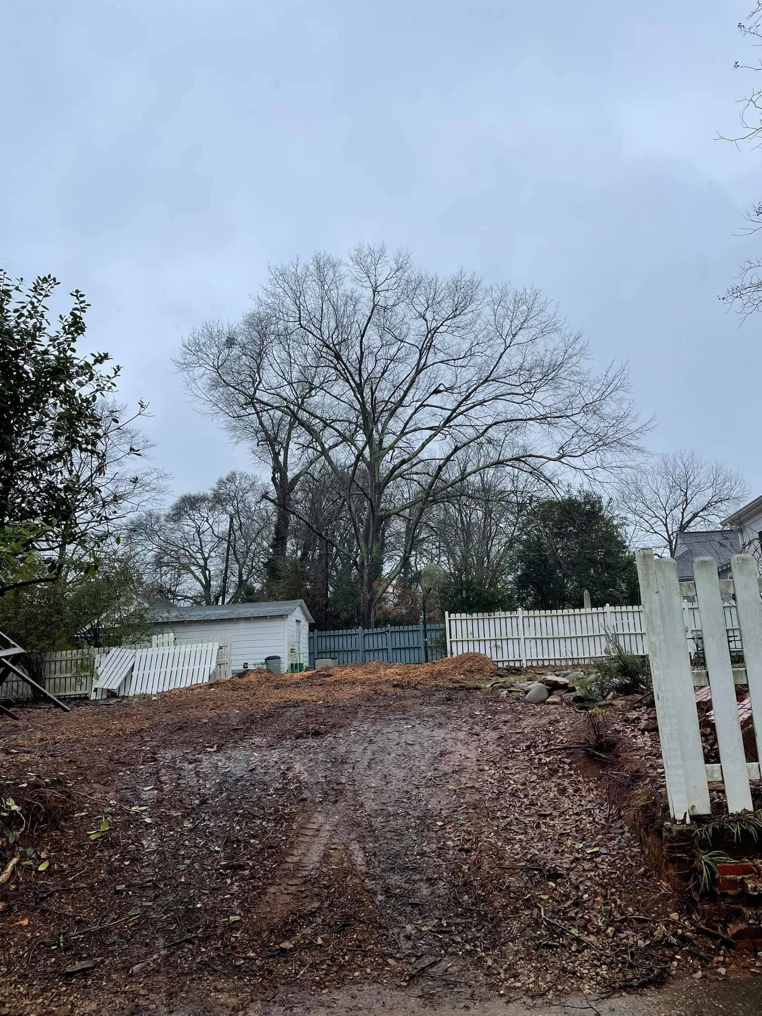 Snow-dusted yard with a large bare tree, white picket fence, and overcast sky