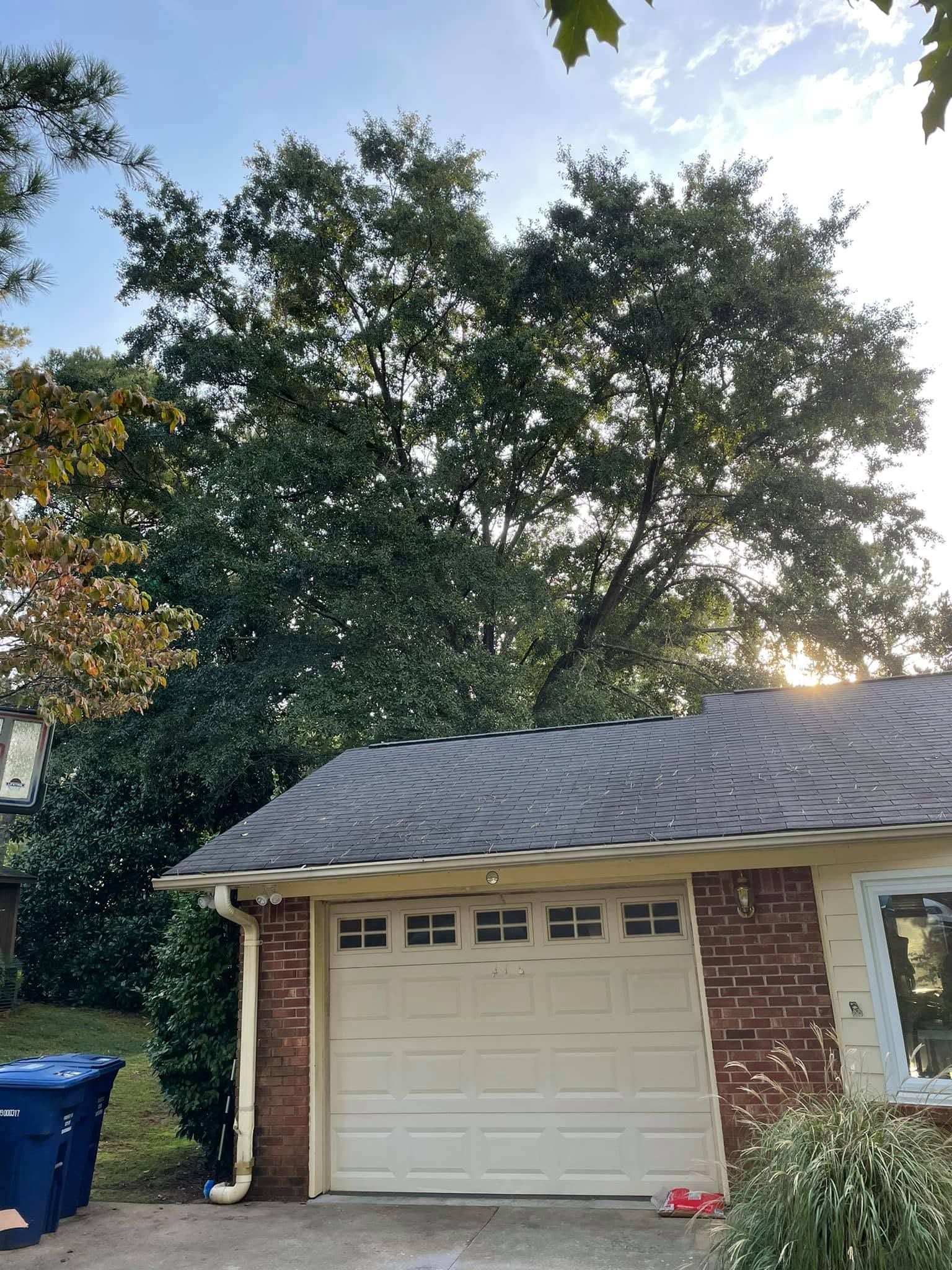 Brick garage with closed white door, blue recycling bin, and tall trees behind it at sunset