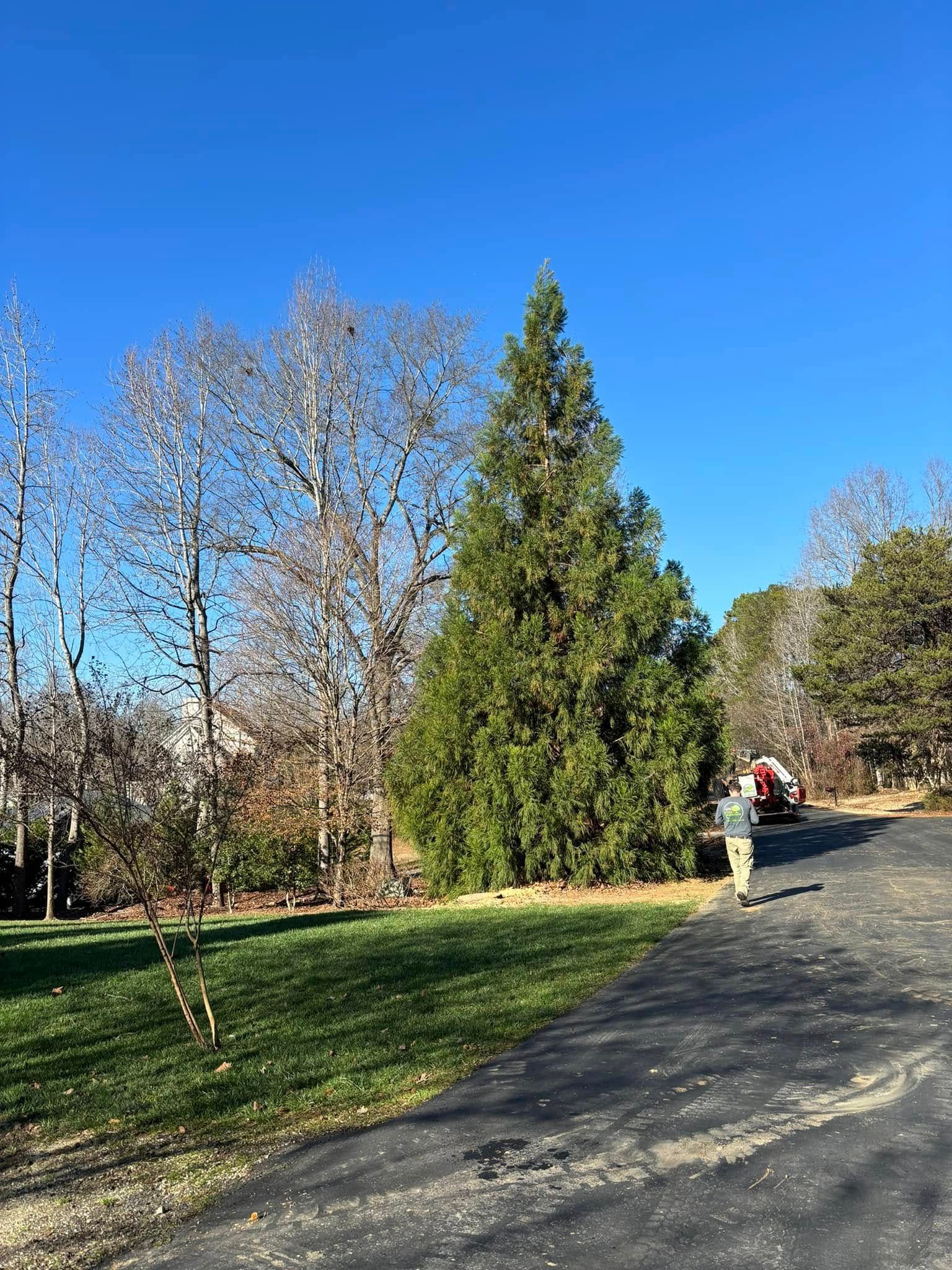Person walking a dog beside a gravel path with trees and a clear blue sky