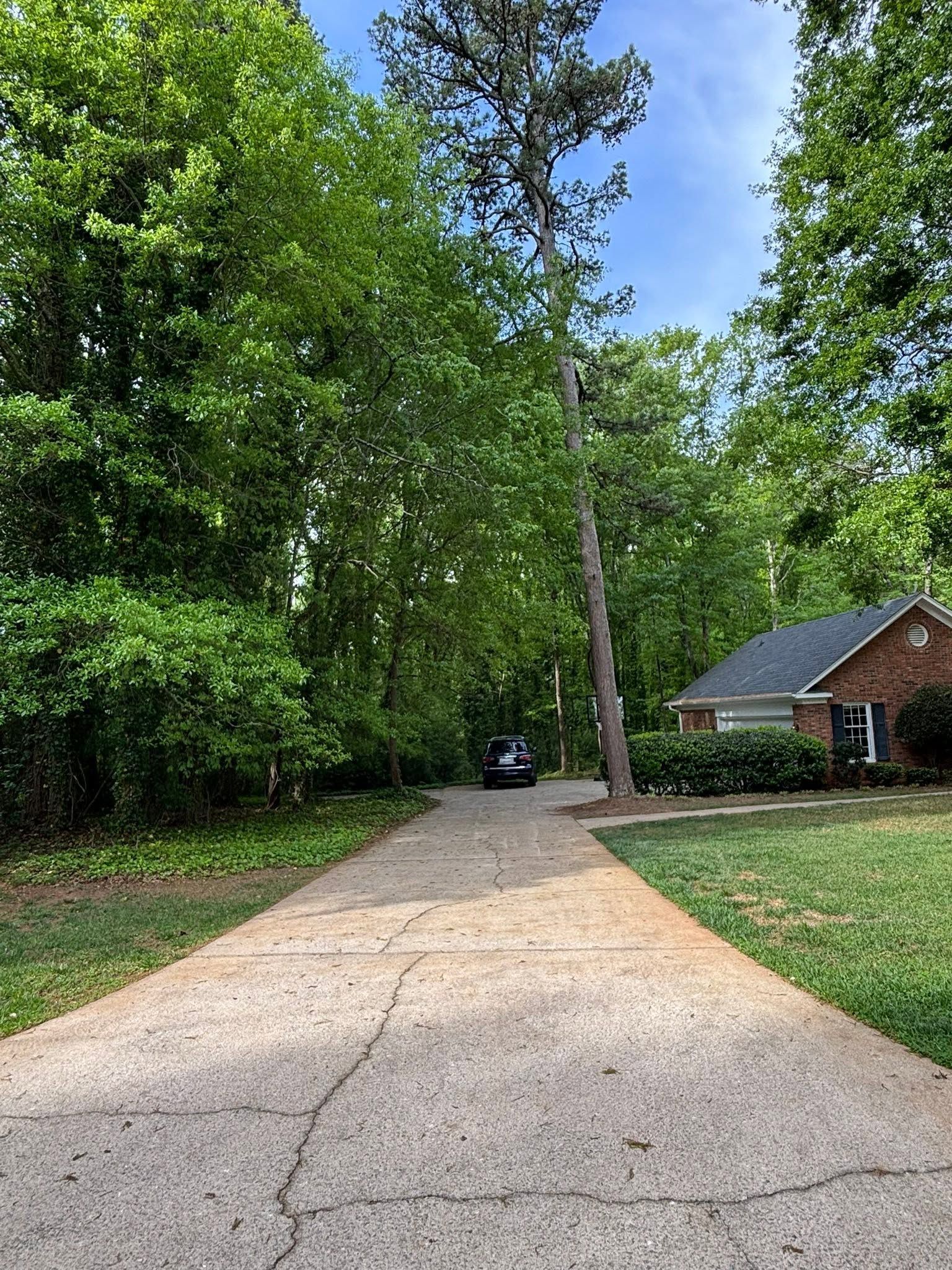 Cracked concrete driveway leading through trees to a brick house with parked car