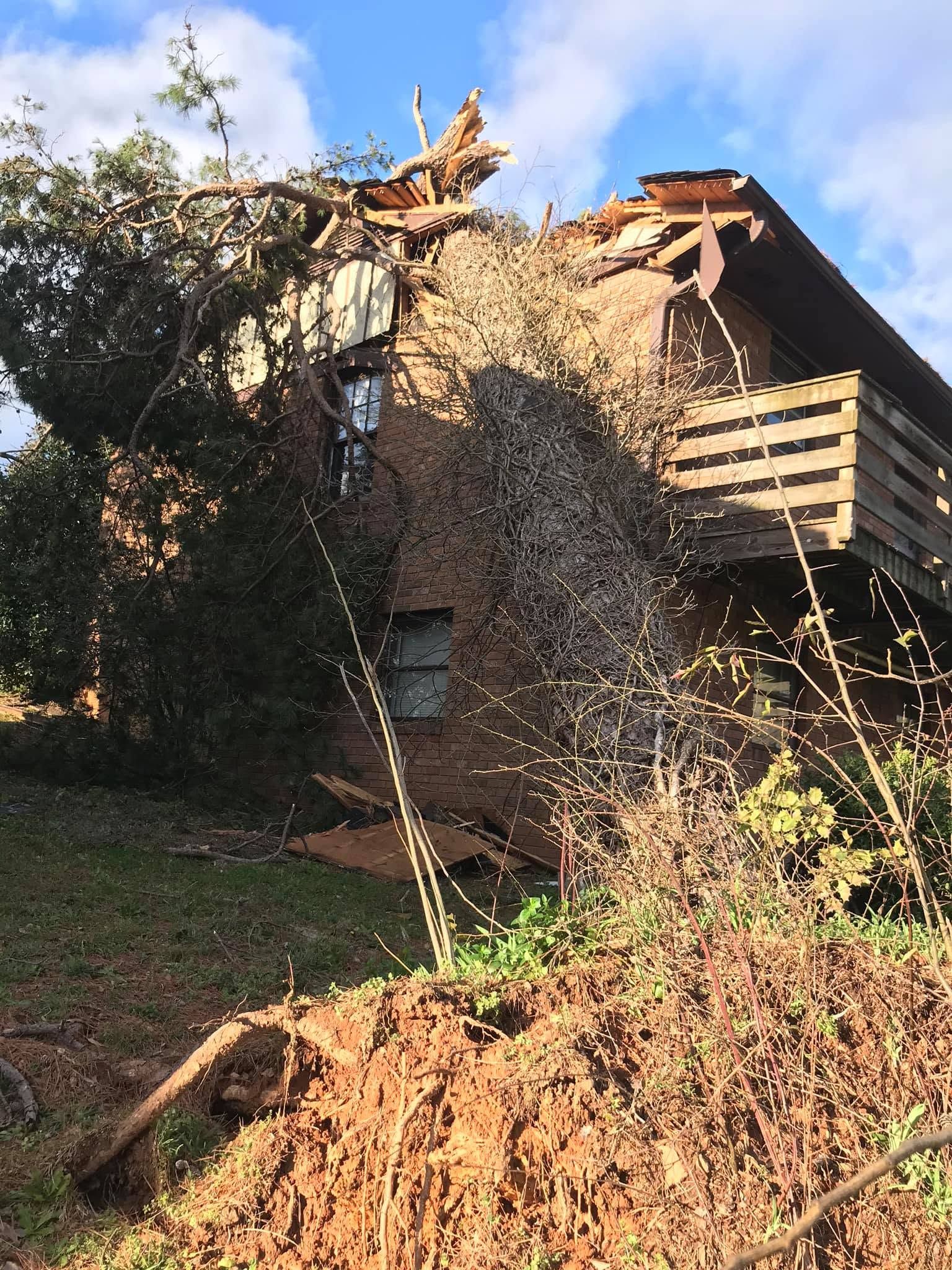 Man on a ladder cutting down a large tree beside a weathered building, with branches piled below.