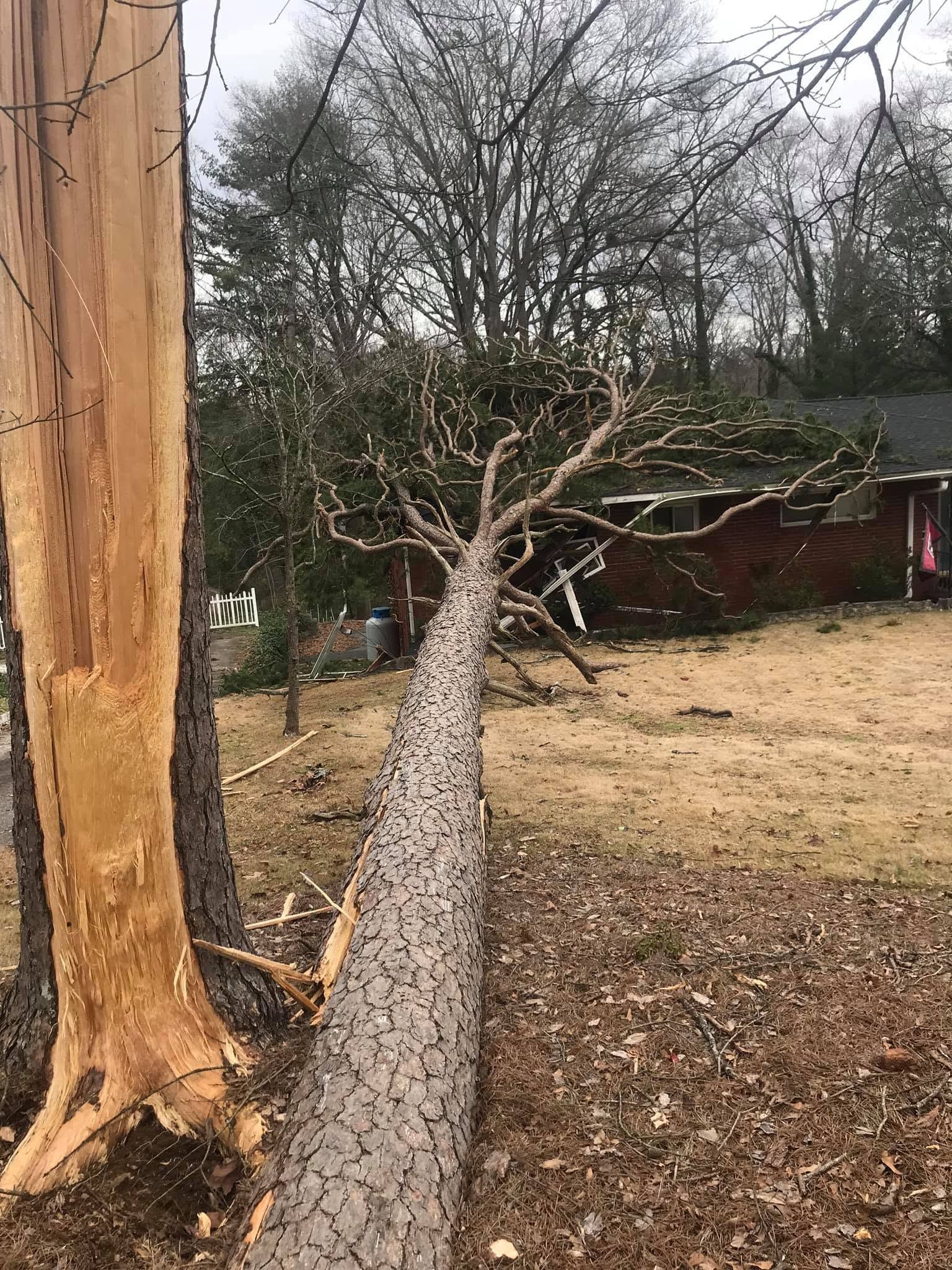 Broken tree trunk fallen across a yard beside a standing tree and house under bare branches