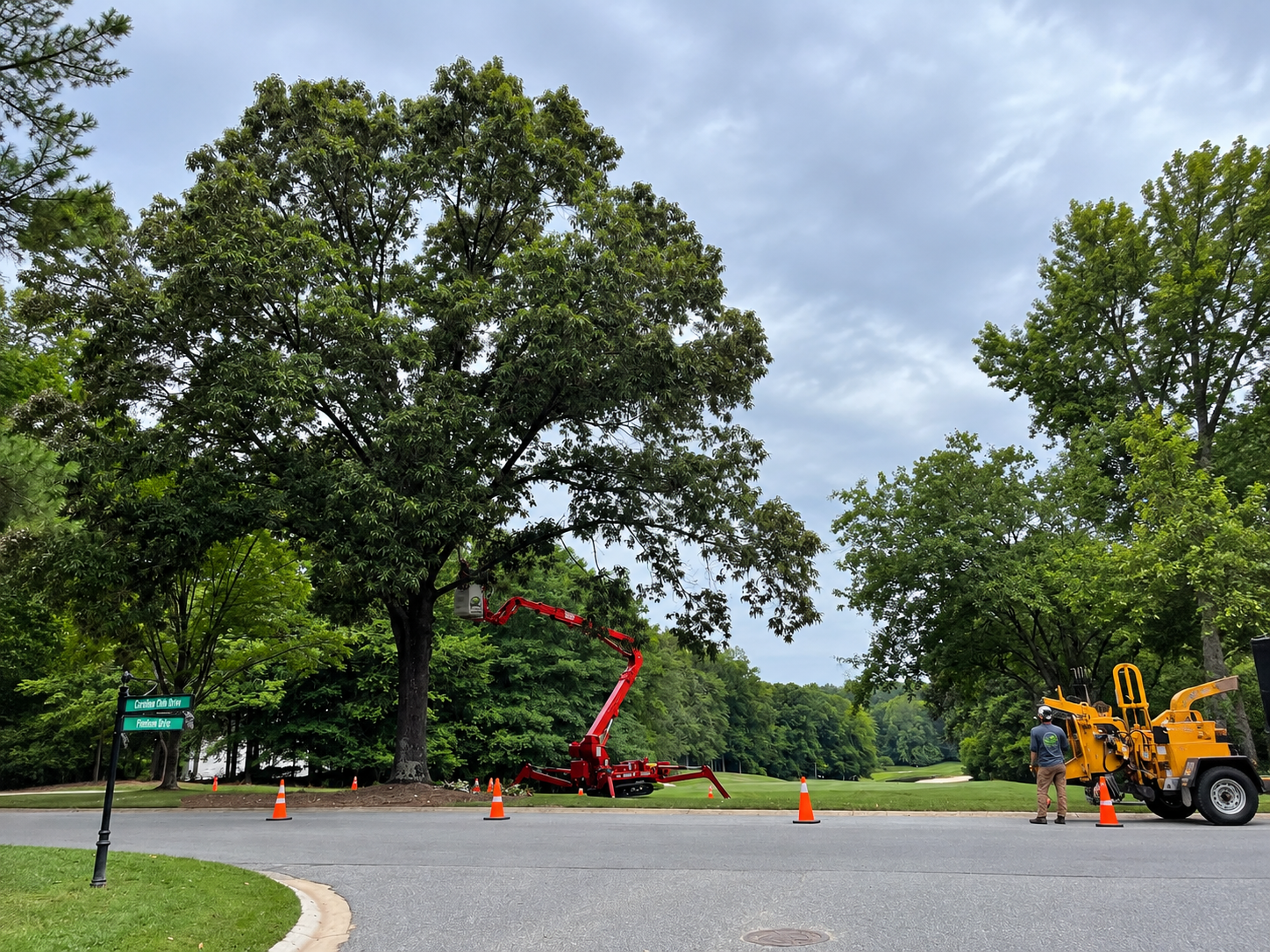 Tree-lined roadwork scene with orange cones, red lift, and yellow utility truck under cloudy sky