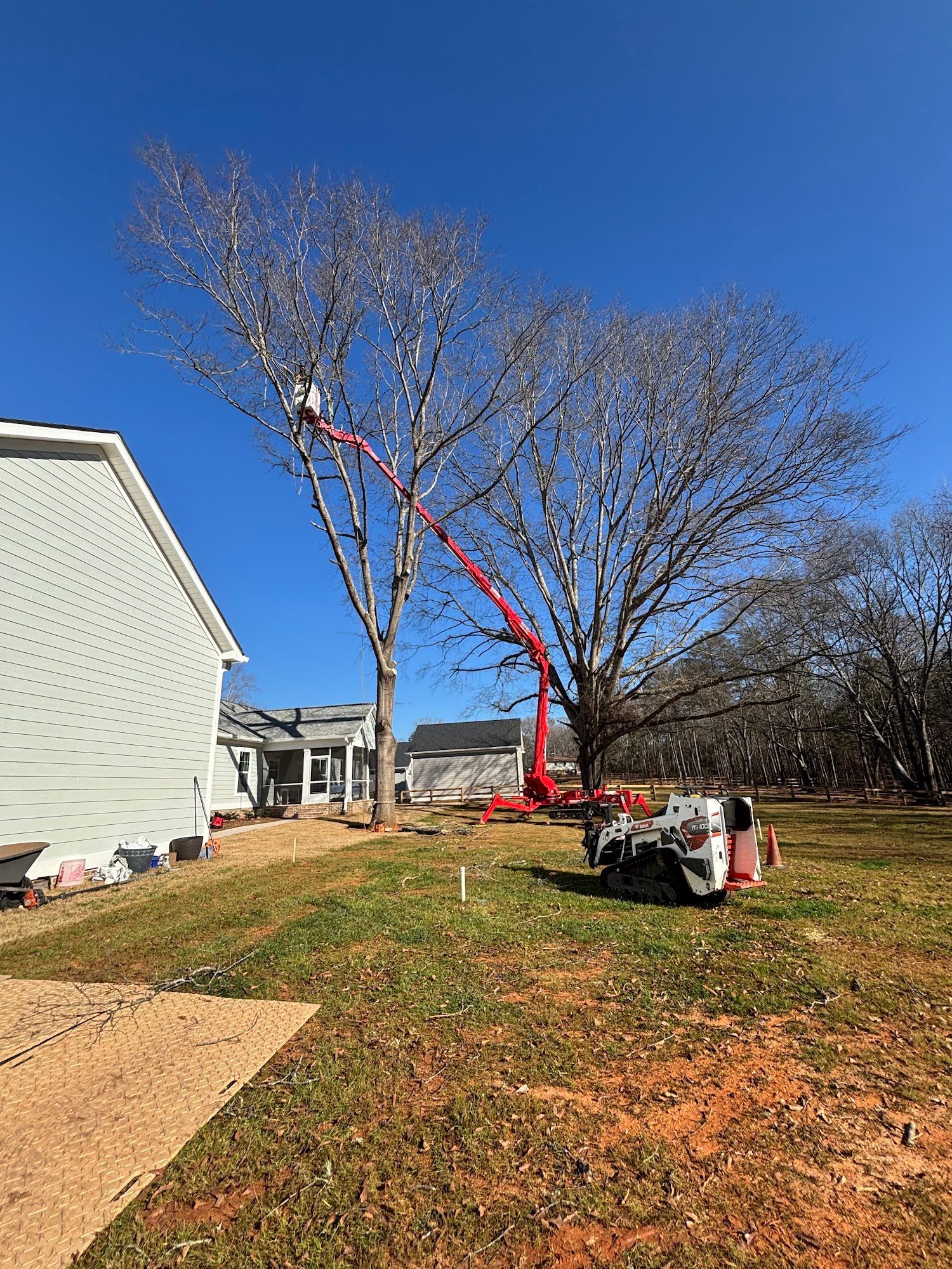 Tree service truck lifting a large tree beside a house on a suburban lawn.