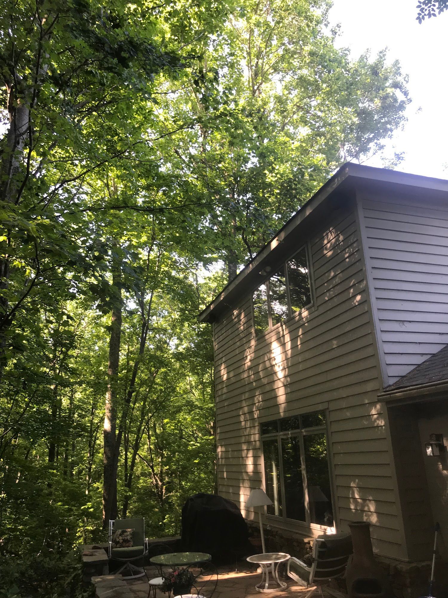 Backyard patio beside a gray house under tall green trees in sunlight