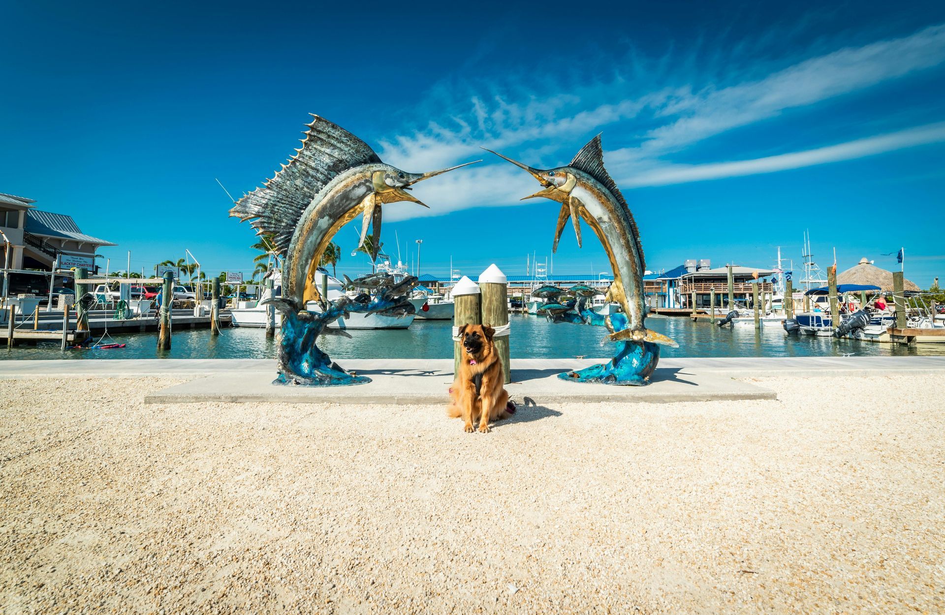 Port Charlotte Florida retirement community — affordable waterfront living