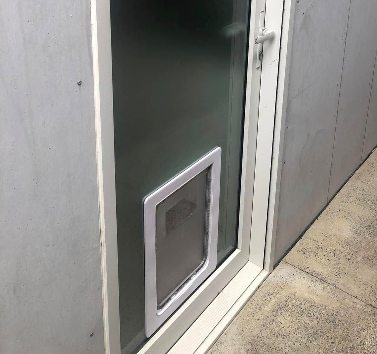 White Door With a Pet Door Installed — Long Jetty Glass in The Entrance, NSW