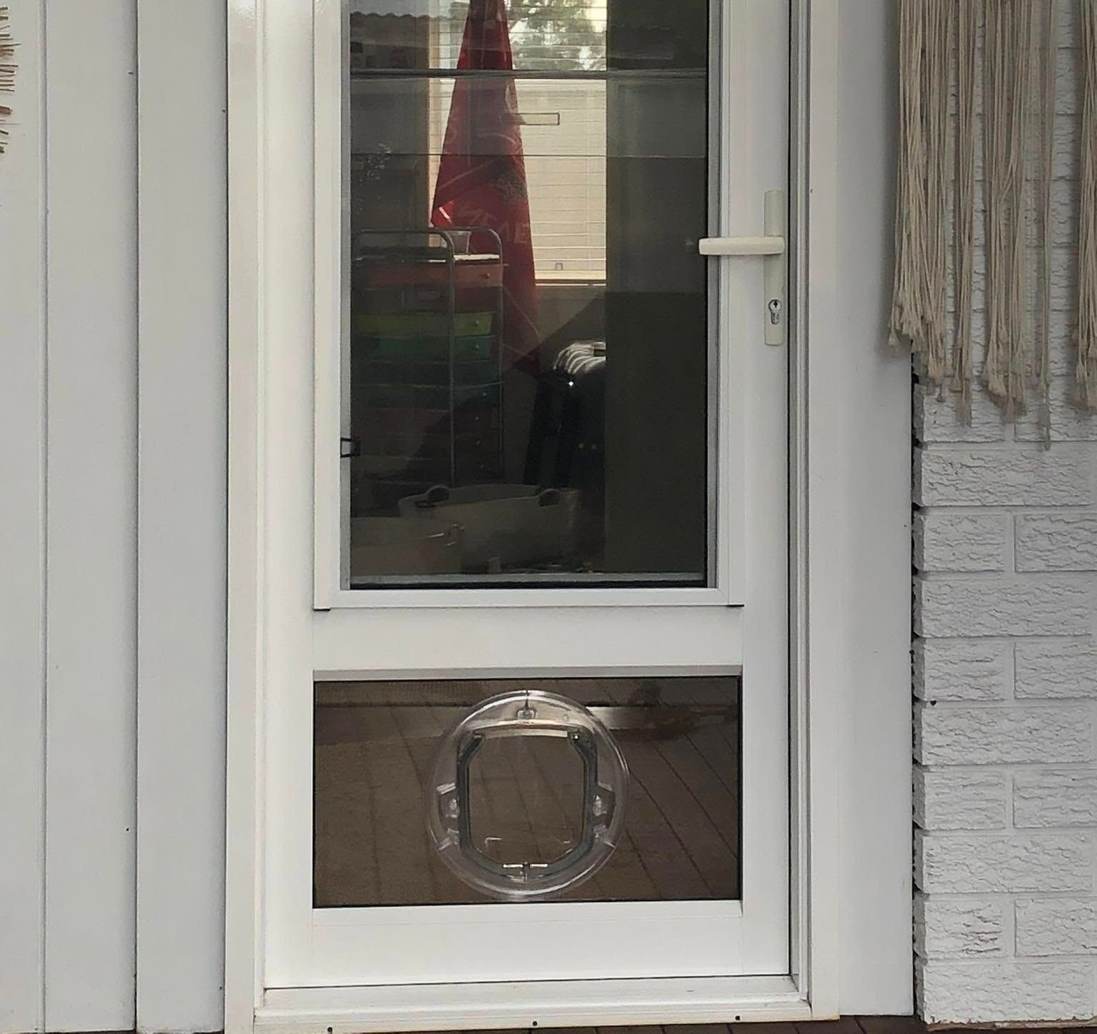 White Screen Door With a Cat Door — Long Jetty Glass in The Entrance, NSW