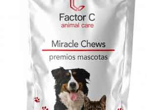 Premios de CBD para perros y Gatos. Mascotas