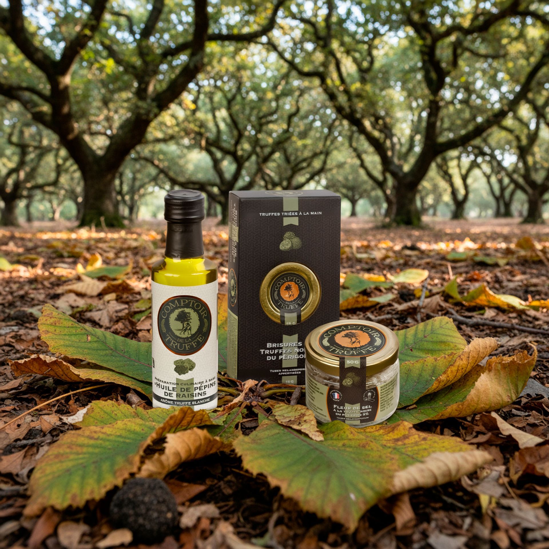 Produits Comptoir de la truffe posés sur des feuilles d'automne dans un bosquet, avec des arbres légèrement flous en arrière-plan.