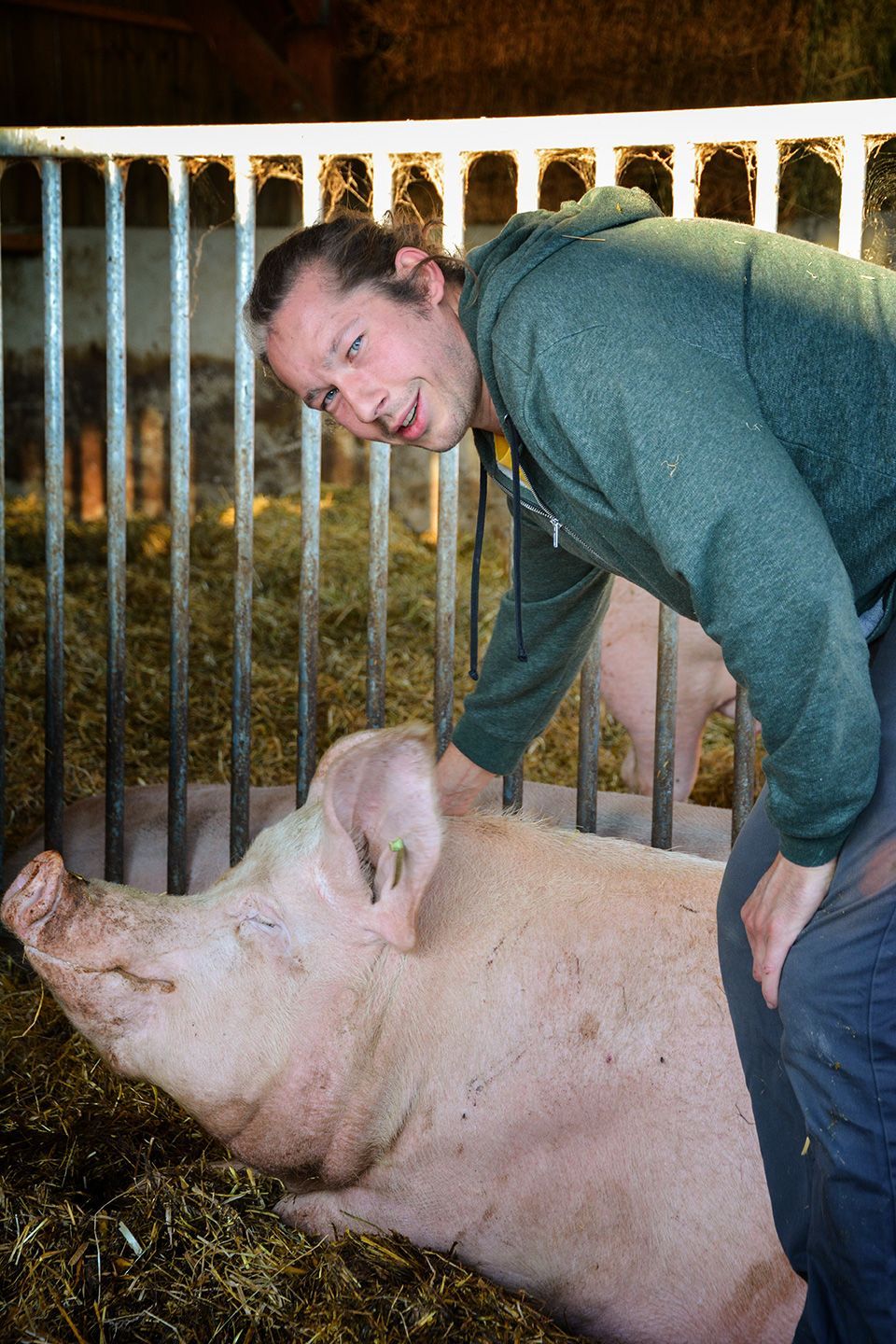 reportage photos éleveur de porc Unebio