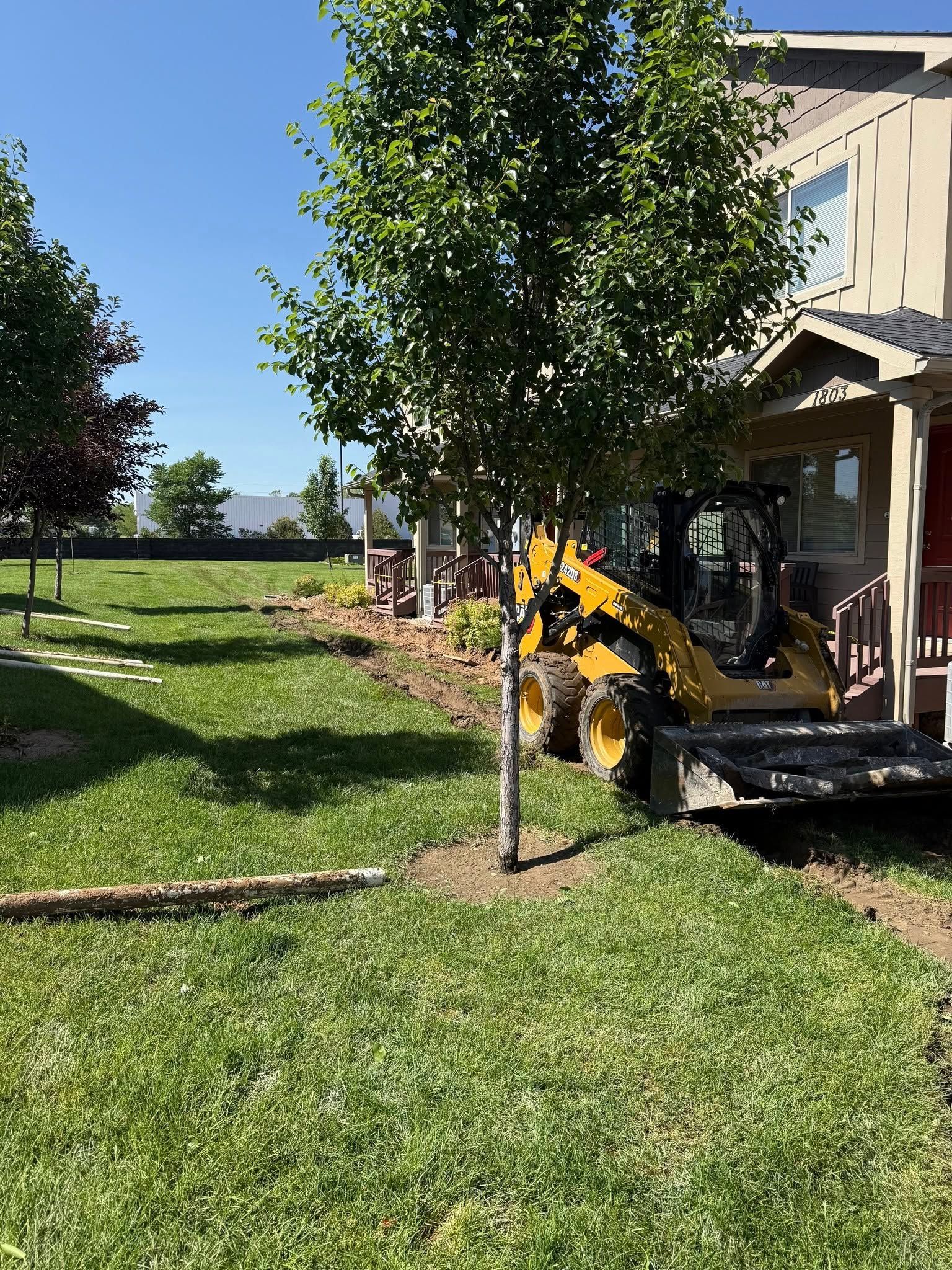 A yellow skid steer loader parked on the grass next to a house and a small tree.