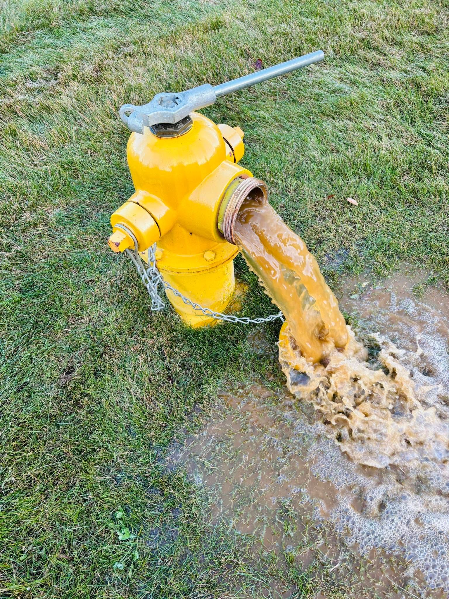 Yellow fire hydrant blasting water onto grass after a leak or flush.