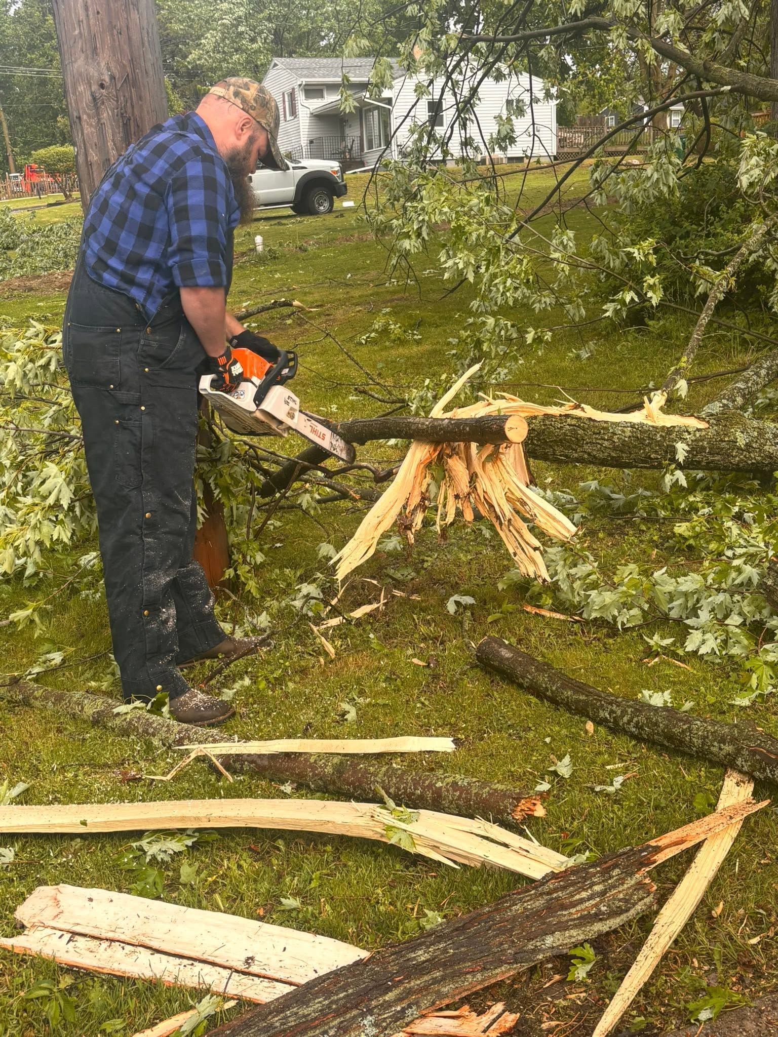 Man cutting a fallen tree branch with a chainsaw in a grassy yard, with scattered logs and debris.
