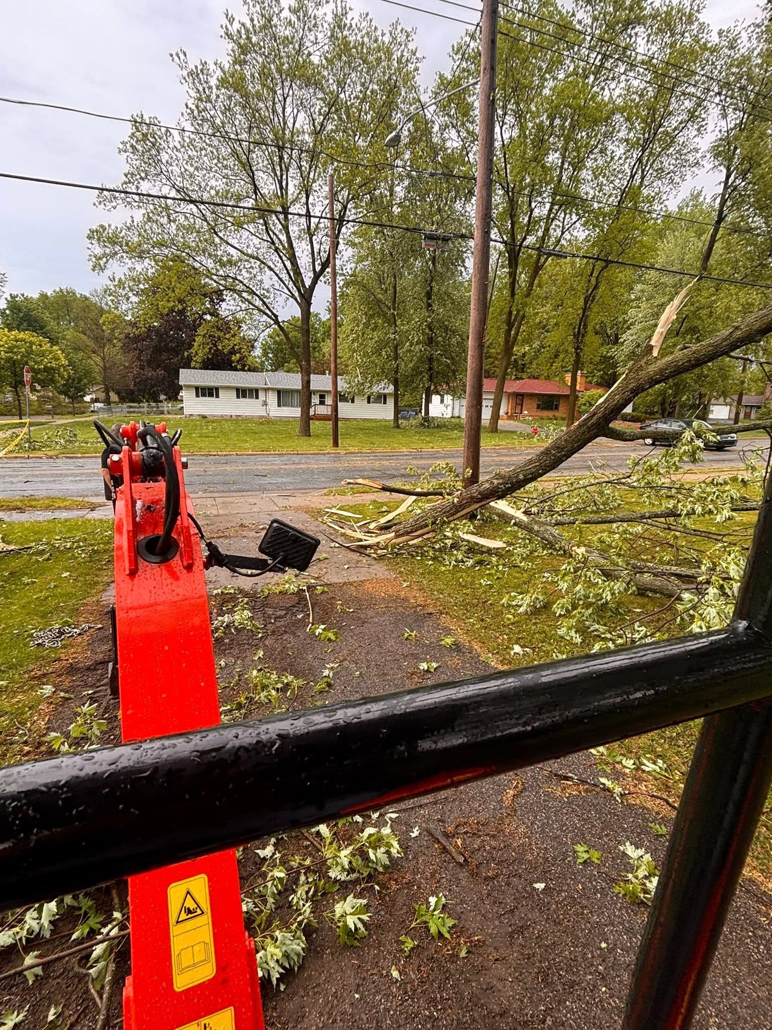 Fallen tree blocking a park path, with scattered branches and a red barrier in the foreground.