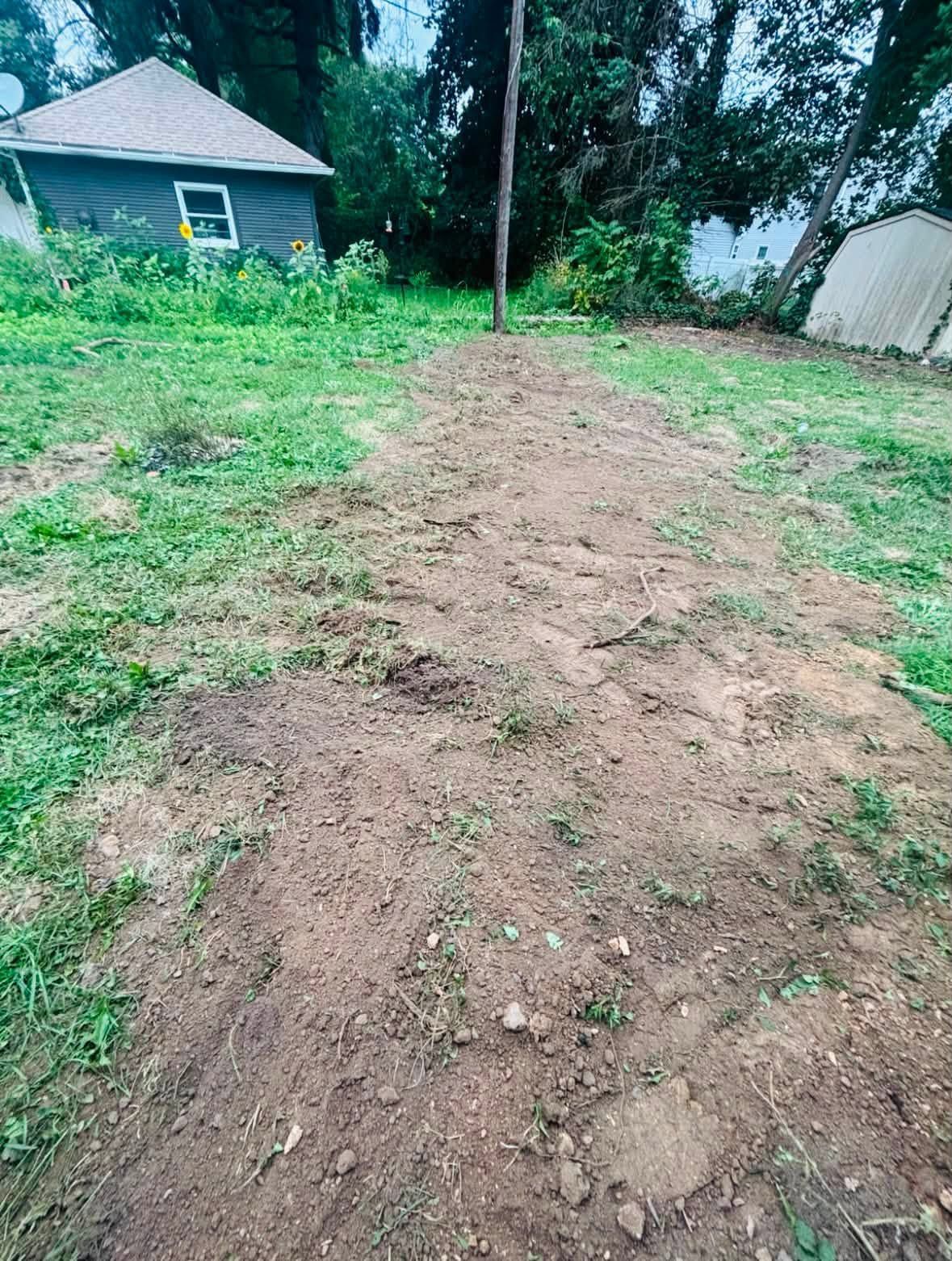 A dirt path runs through a grassy yard beside a house and trees.