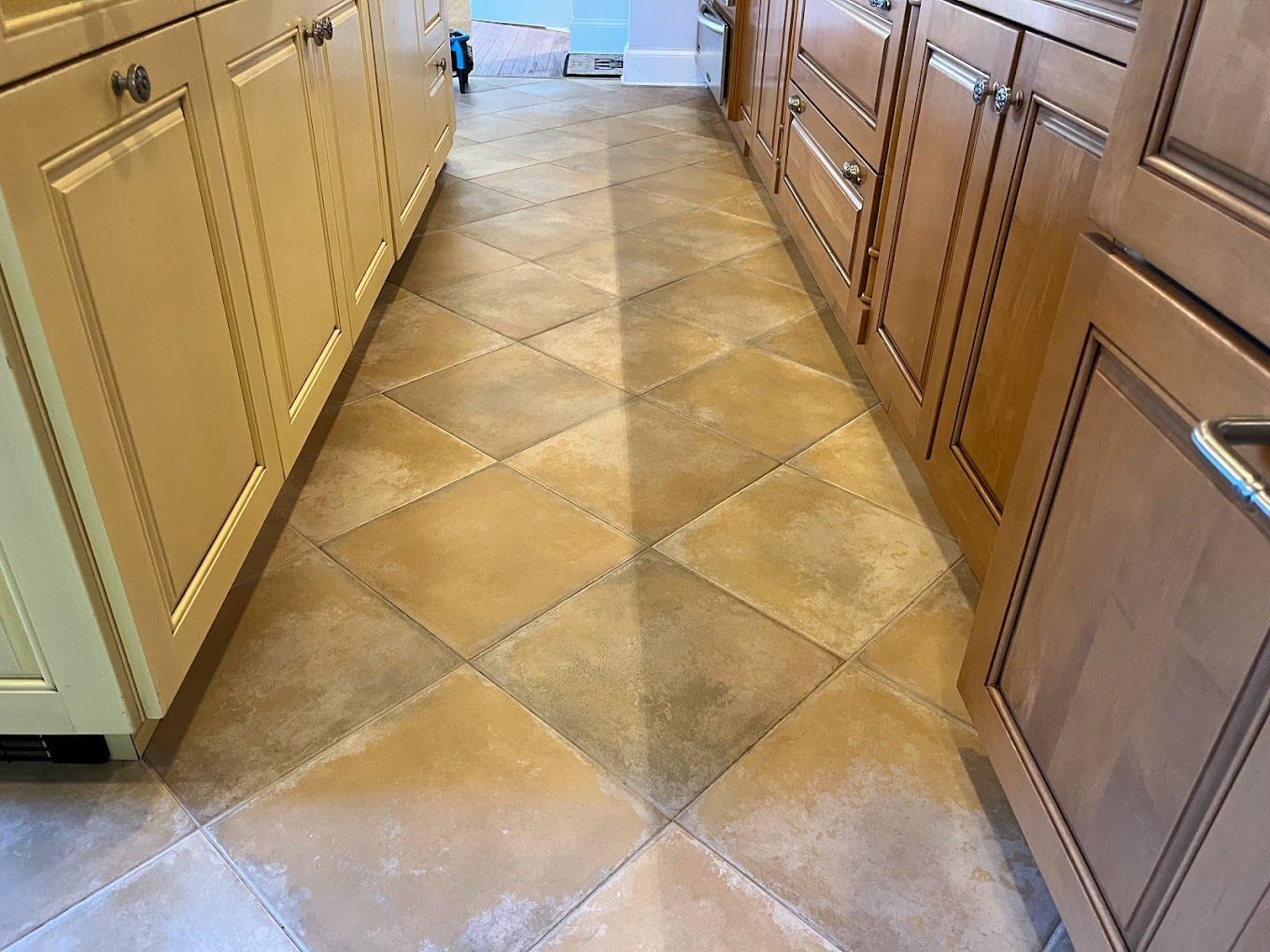 A kitchen floor shows a clear contrast between cleaned tile on the left and dirty, darker tile on the right.