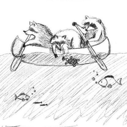 creative sketch of raccoons rowing in canoe