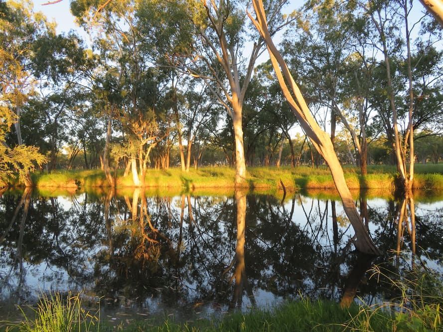 Trees Are Reflected in The Water of A Lake — Cheshire Machinery in Murgon, QLD
