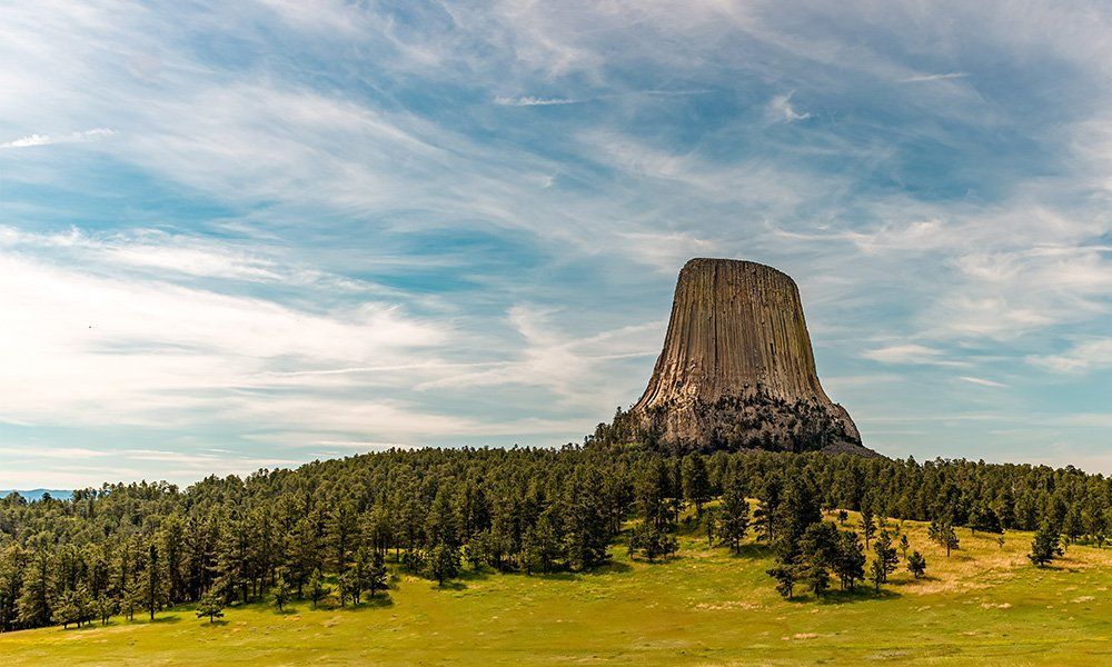 Devils tower is a large rock formation in the middle of a grassy field surrounded by trees.