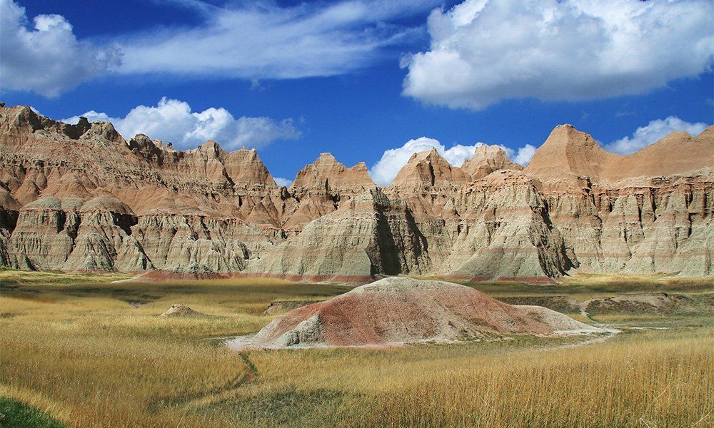 A desert landscape with mountains in the background and a field in the foreground