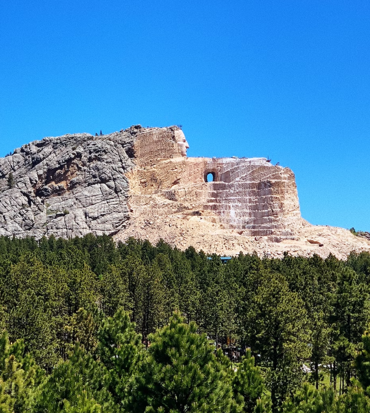 A large rock formation in the middle of a forest